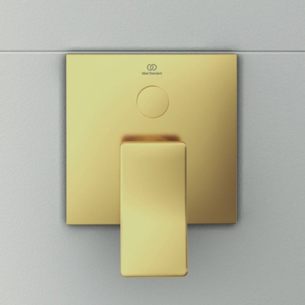 Brushed Gold