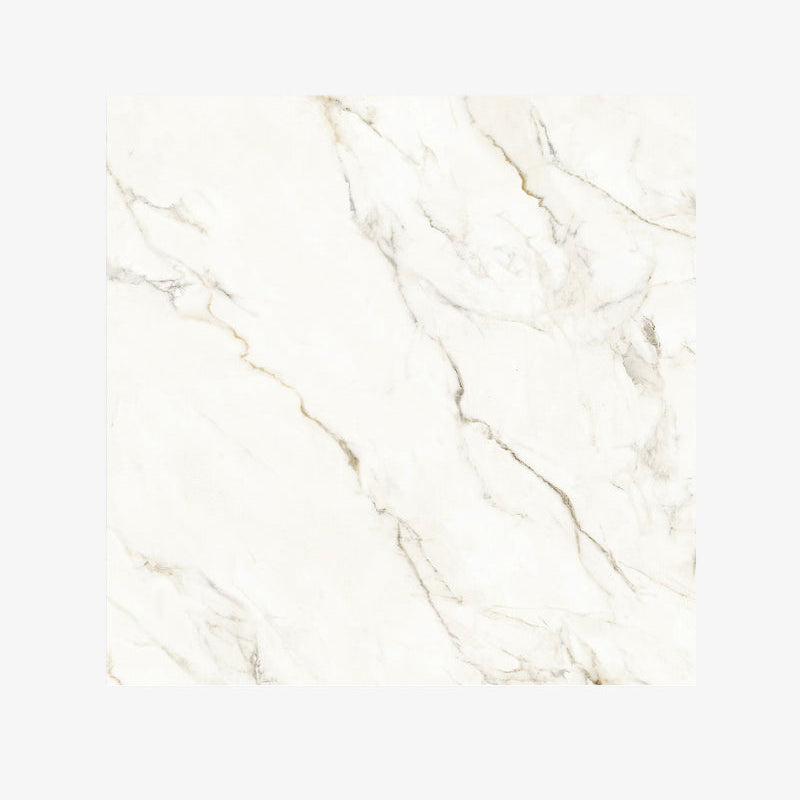 Italy Slabs Vero Calacatta Reale Polished