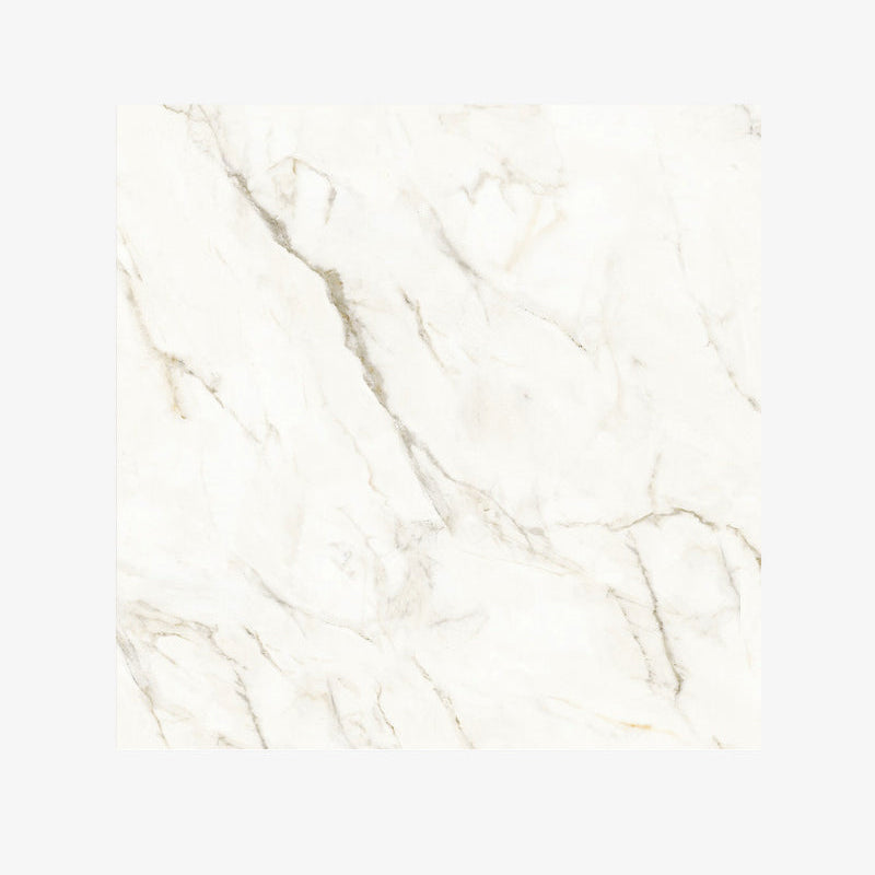 Italy Slabs Vero Calacatta Reale Matt