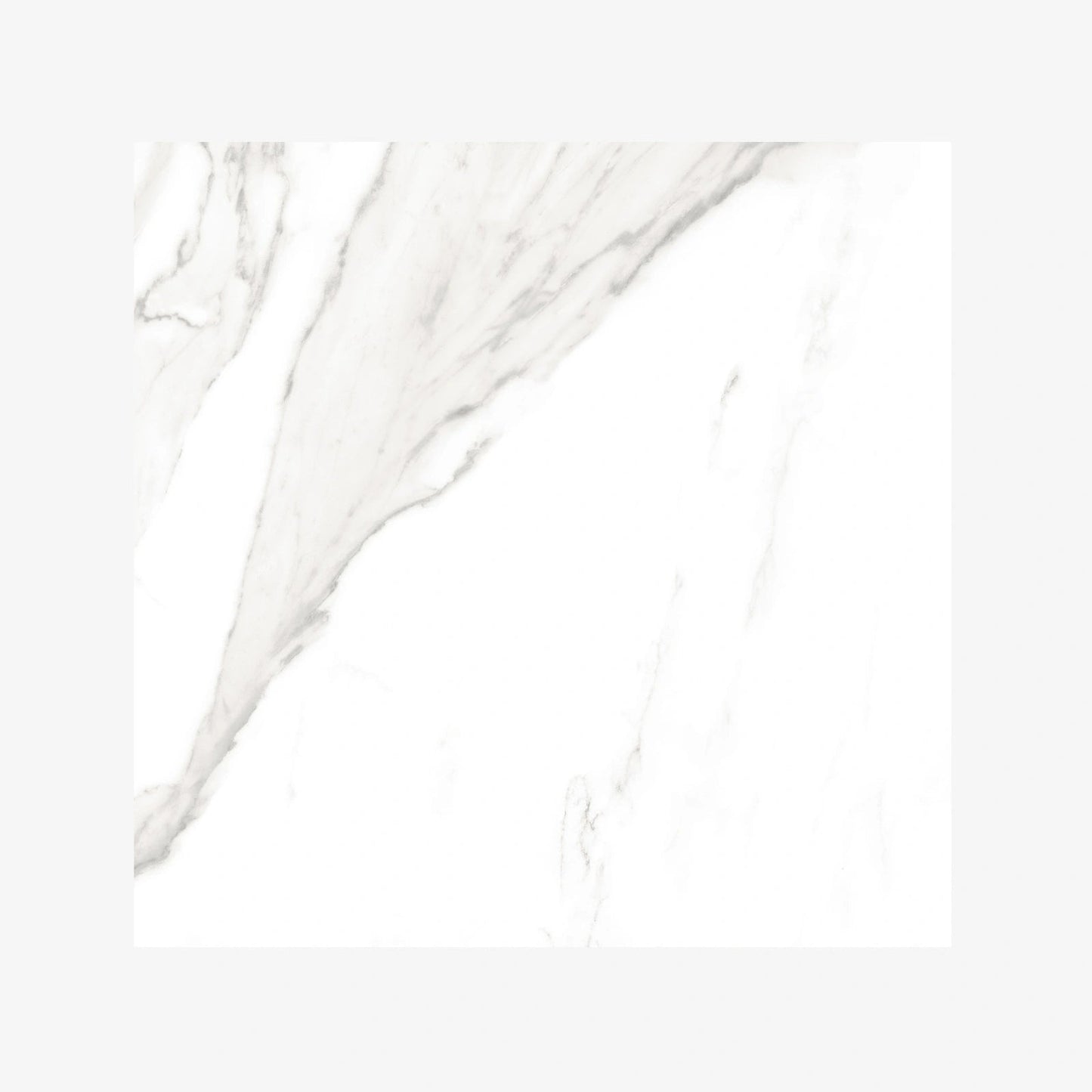Indian Floor Tiles Vero Statuario Regalia Glossy