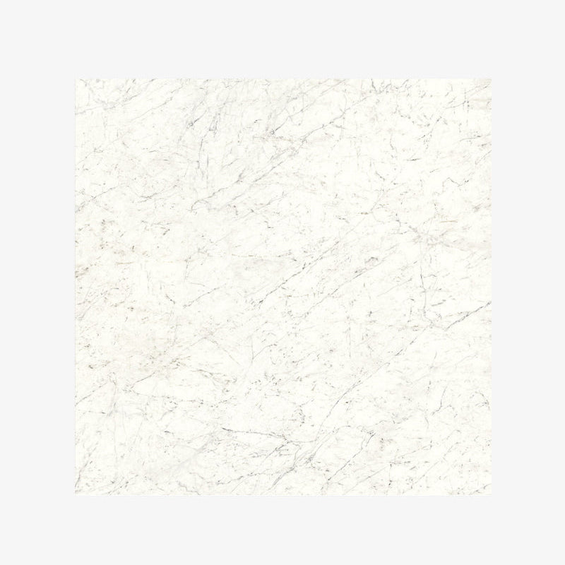 Italy Slabs Vero Carrara Tradizionale Matt