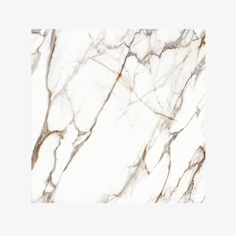 Italy Slabs Vero Calacatta Dorato Polished