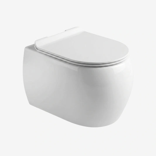 CLEA AXIS DUO Rimless Wall Hung WC with UF Seat & Fixing Screw W916
