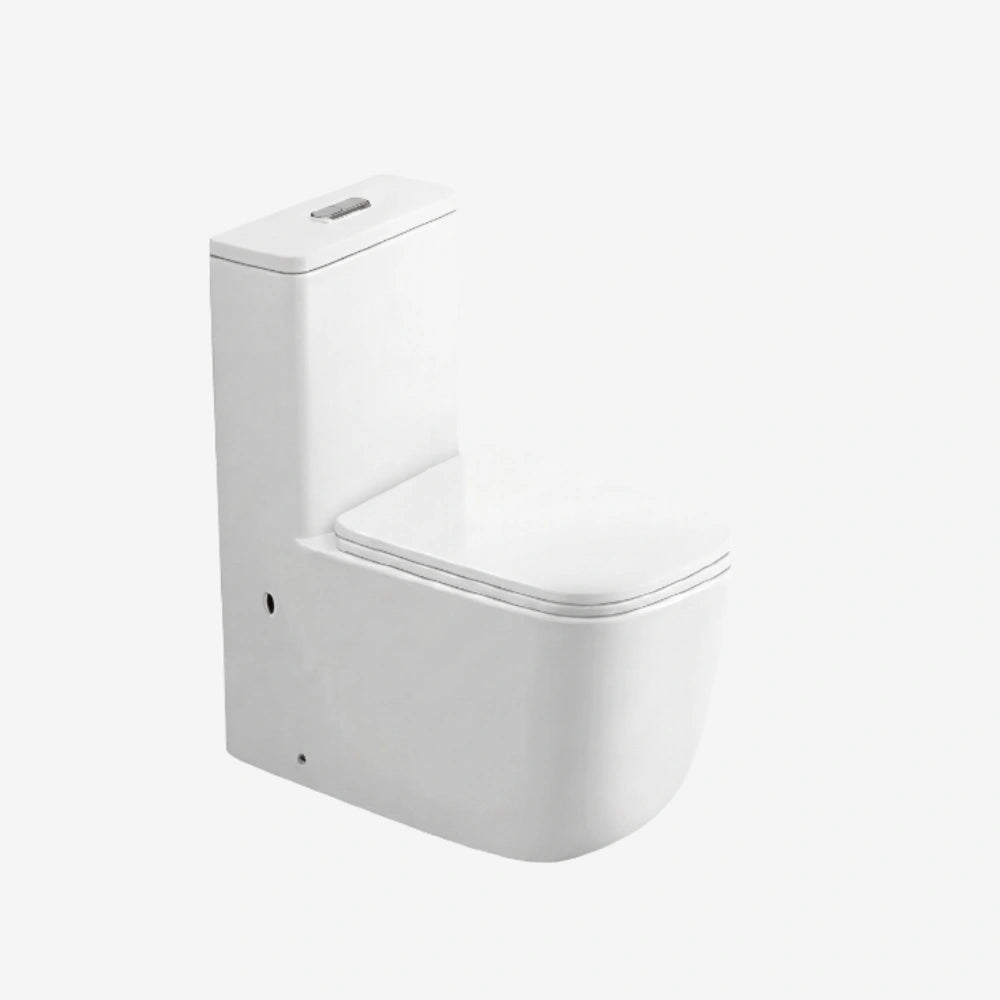CLEA HARMONY TORNADO One PC Toilet S-Trap with UF Seat 1930