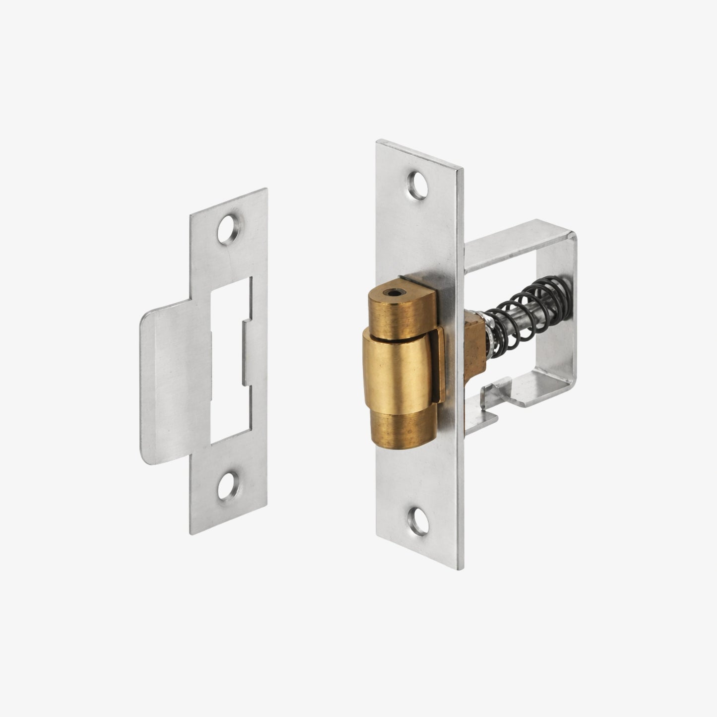Roller Latch RL01 Adjustable Spring-Loaded SS304