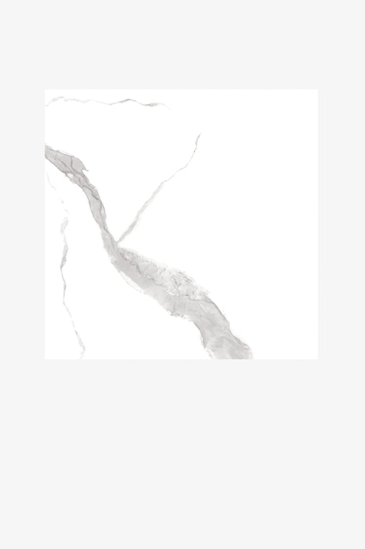 Indian Floor Tiles Vero Statuario Venato Matt