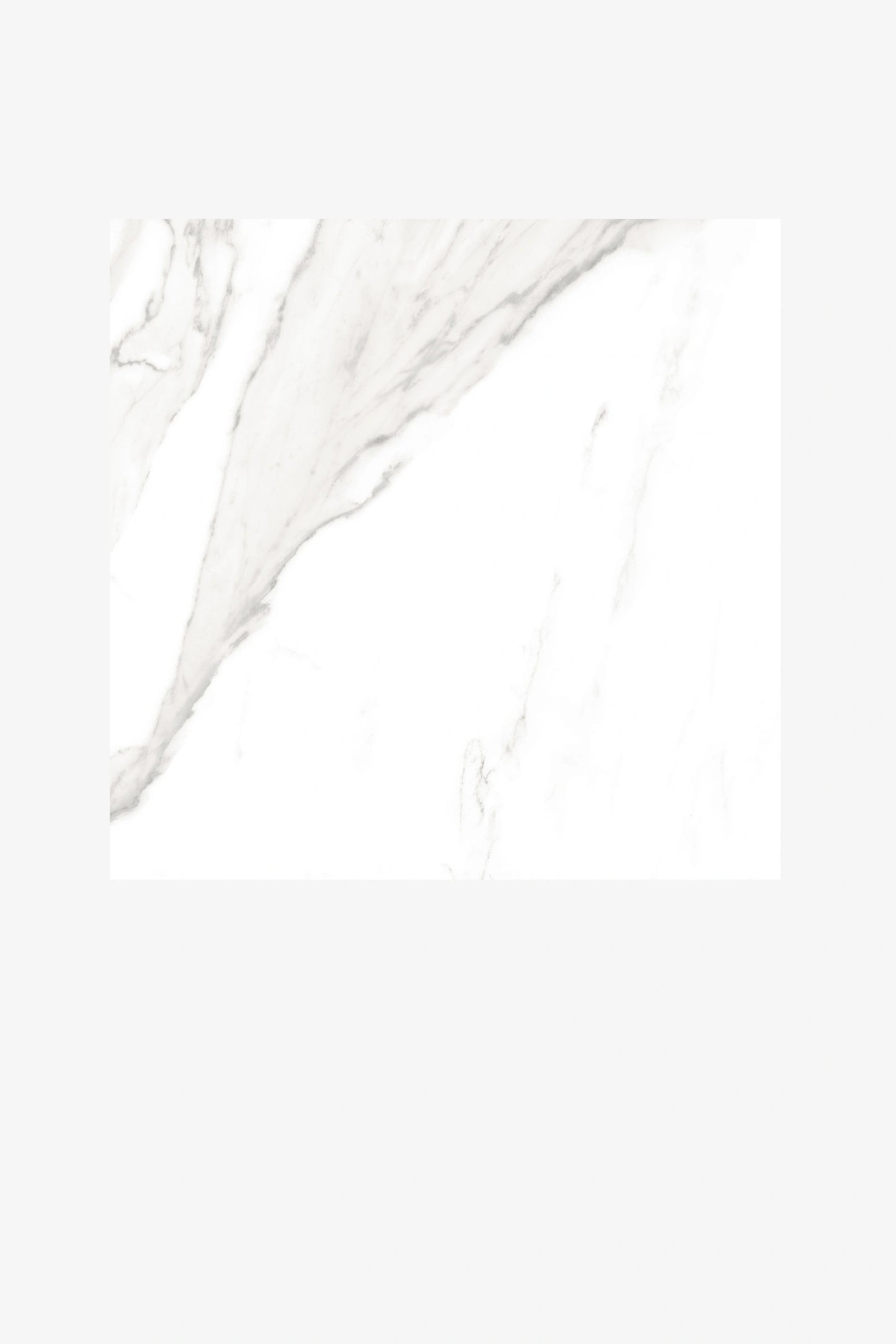 Indian Floor Tiles Vero Statuario Regalia Glossy