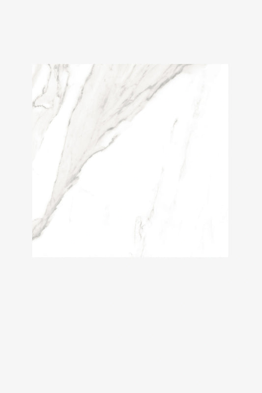 Indian Floor Tiles Vero Statuario Regalia Matt