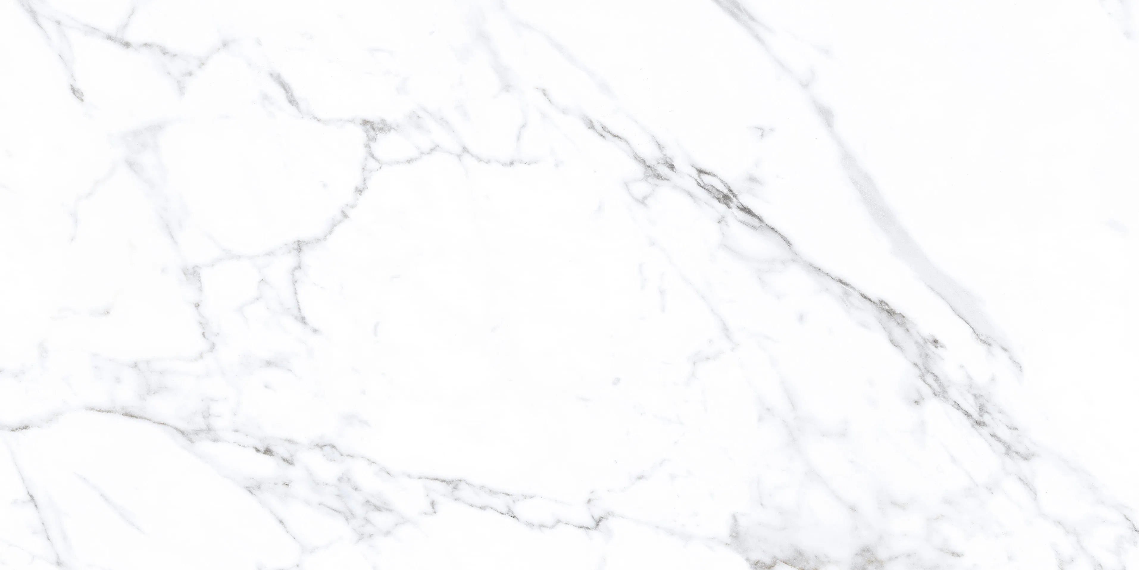 Indian Floor Tiles Vero Statuario Nex Matt