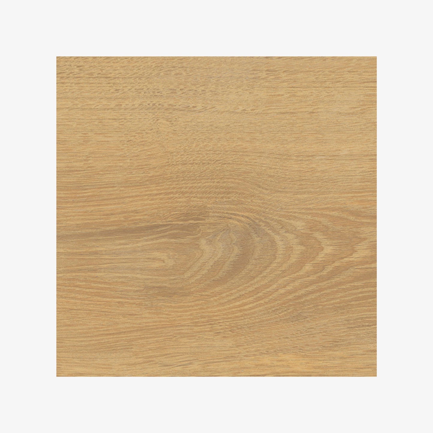 STN Spain Floor Tiles Meridiana Miel Matt