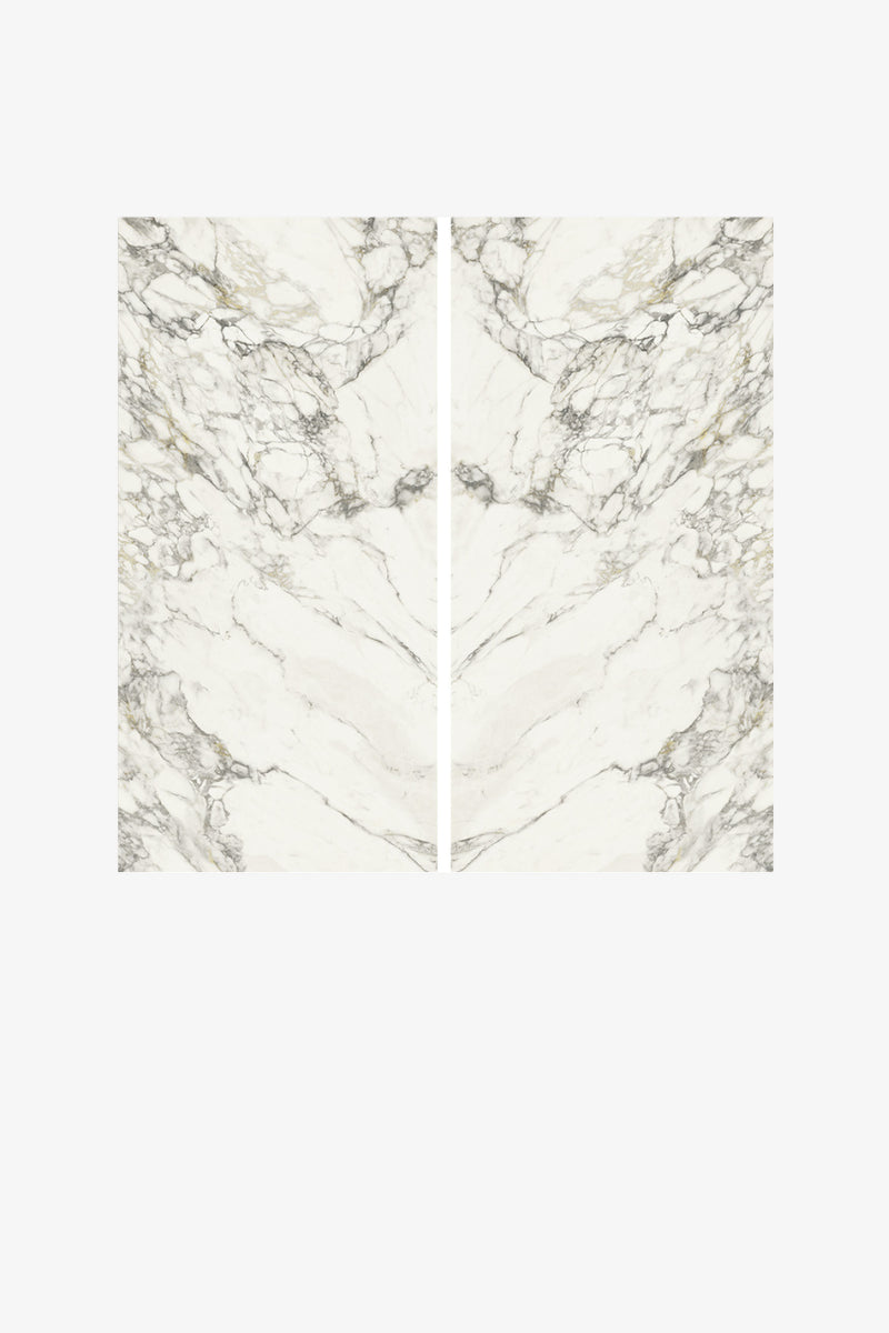 Italy Slabs Vero Arabescato Visio Bookmatch Polished