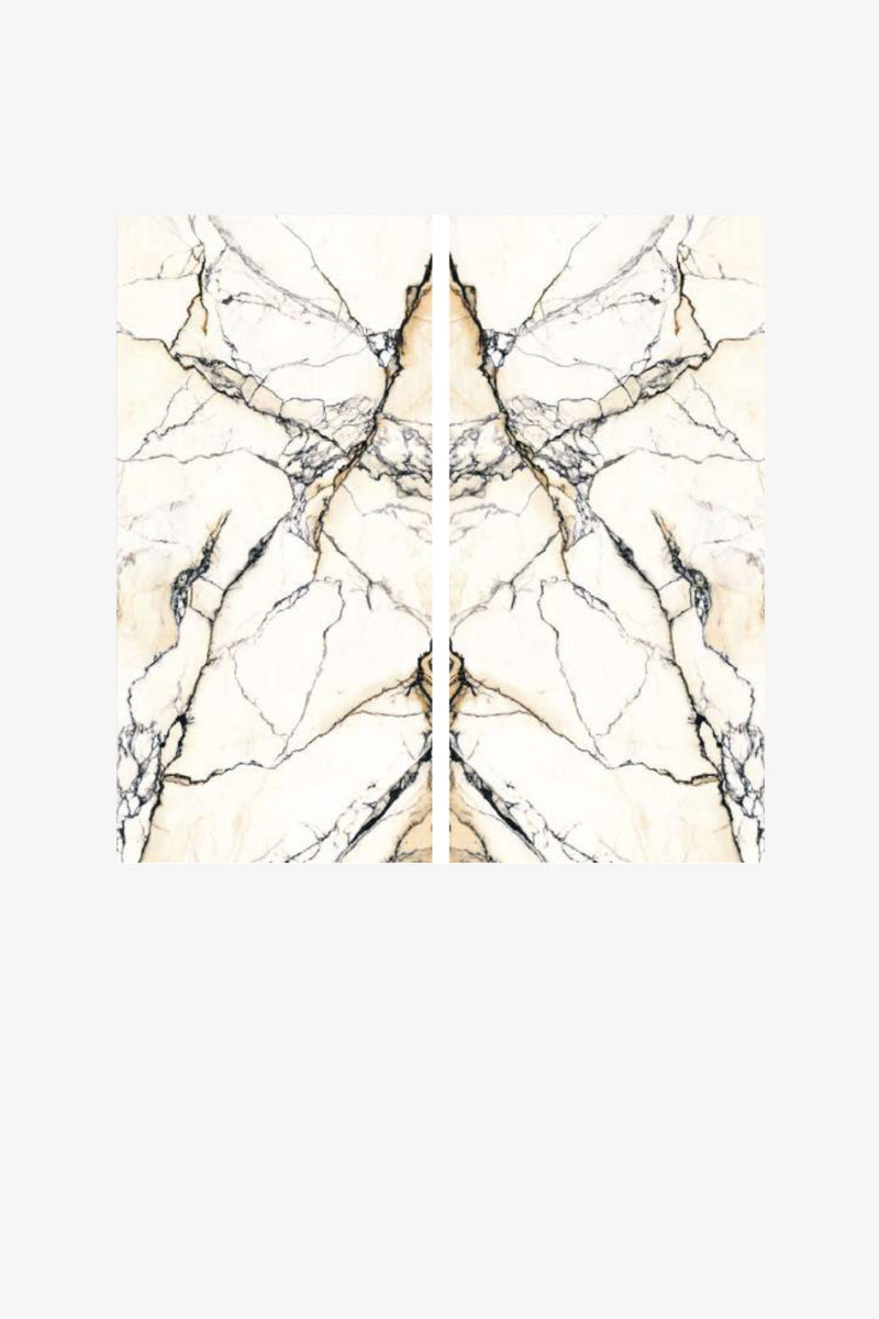 Italy Slabs Vero Paonazzetto Reale Bookmatch Polished