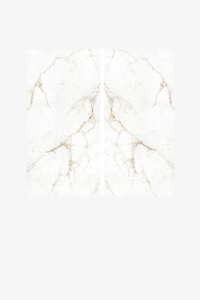 Italy Slabs Vero Negev Bookmatch Polished