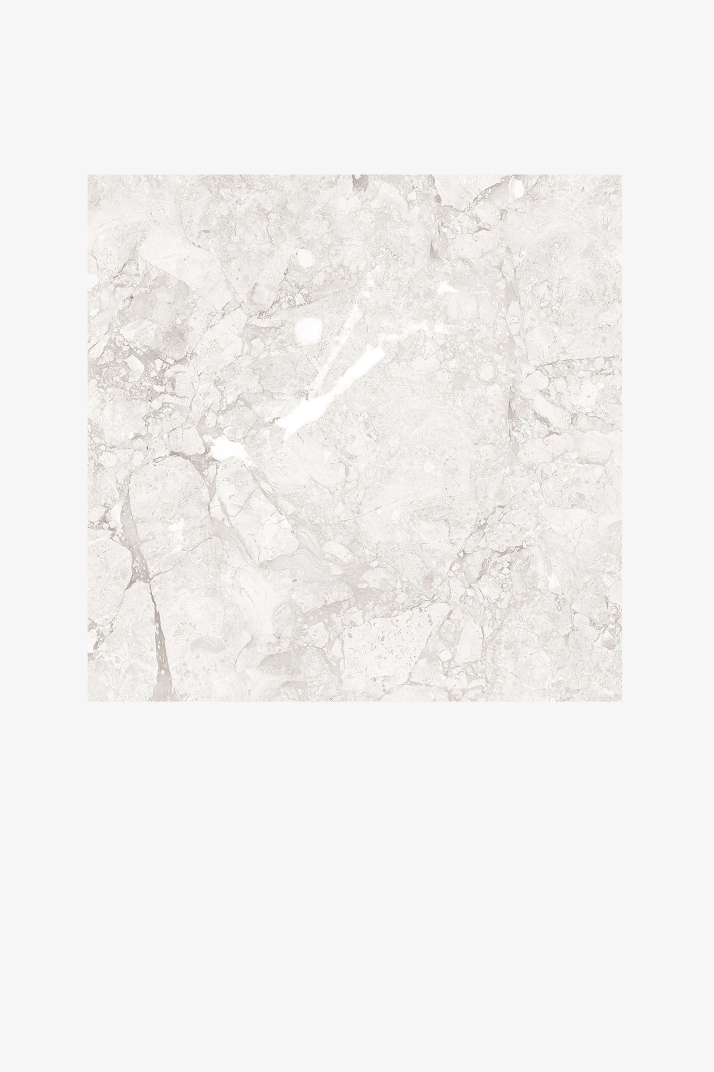 Indian Floor Tiles Vero Emil White Polished