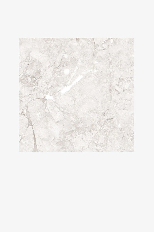 Indian Floor Tiles Vero Emil White Polished