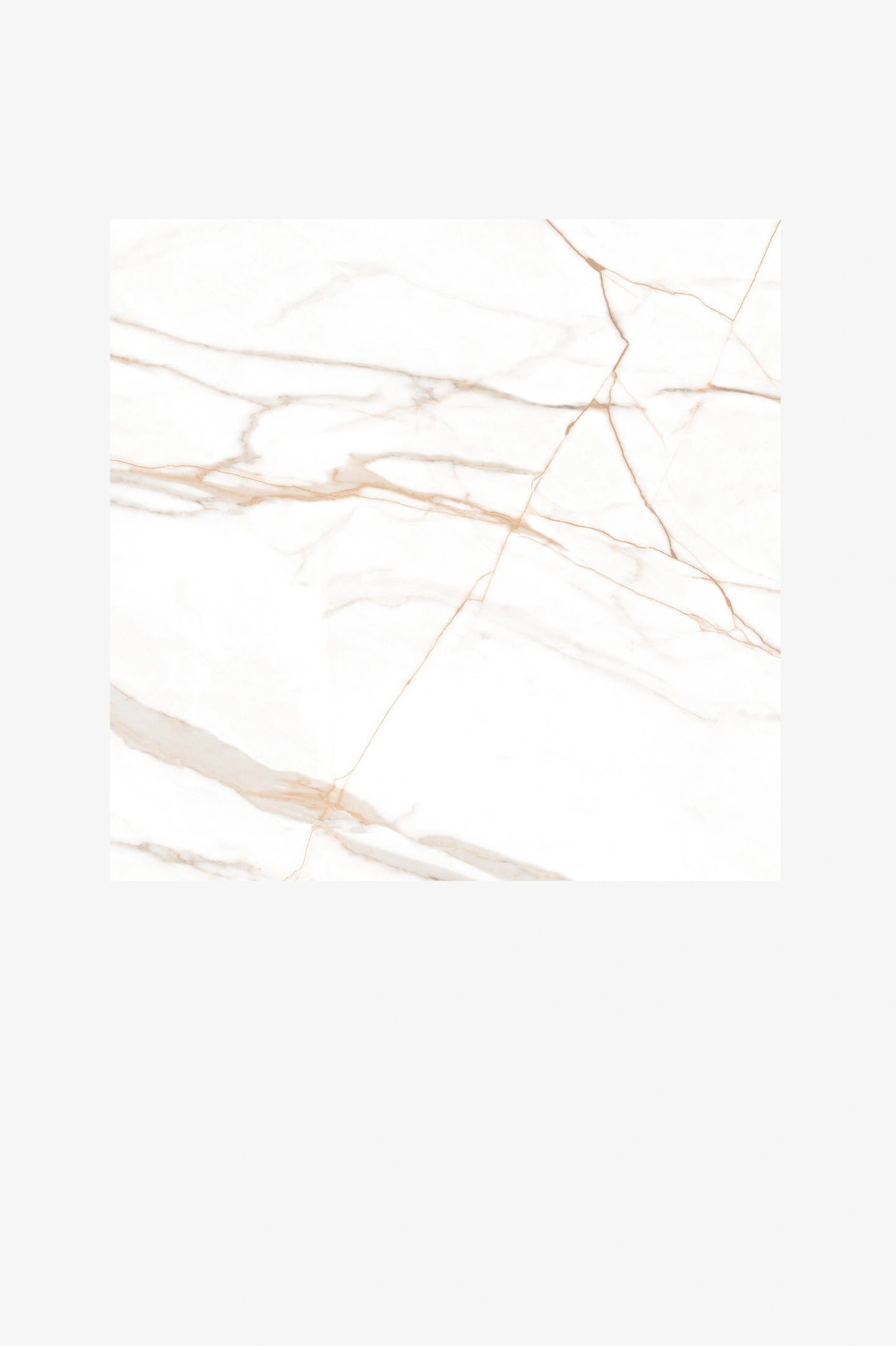 Indian Floor Tiles Vero Calacatta Oro Polished