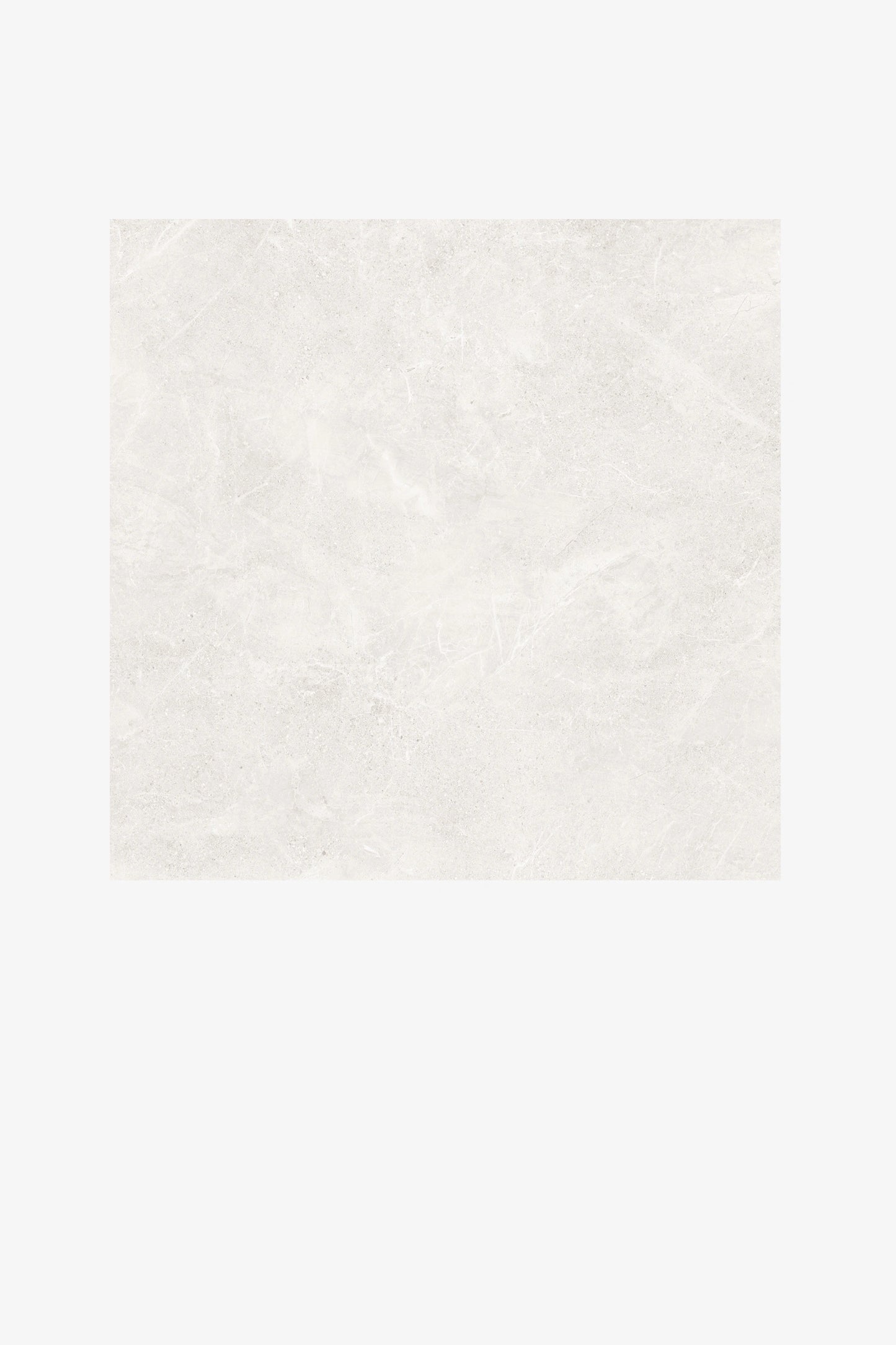 Indian Floor Tiles Vero Gozzano White Matt