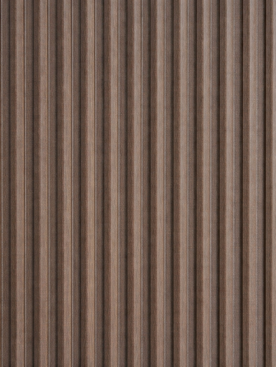 Eclipse Night Groups Carry