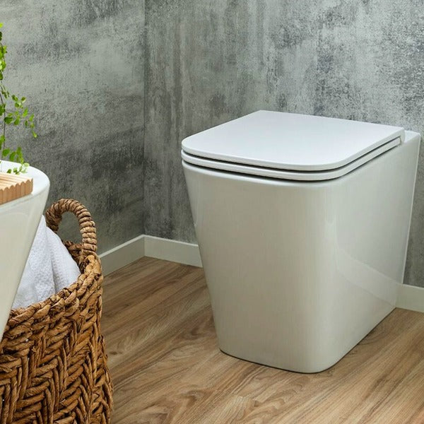 Back To Wall Toilets