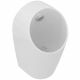 IDS Sphero Midi Standard Urinal Flush with Back Inlet 